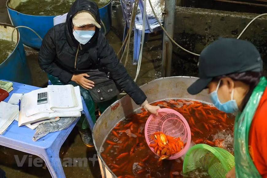 Một số tiểu thương cho biết do ảnh hưởng của dịch bệnh nên lượng khách mua cũng giảm đi đáng kể, do vậy họ không dám nhập nhiều về vì sợ không bán hết. (Minh Hiếu/Vietnam+)