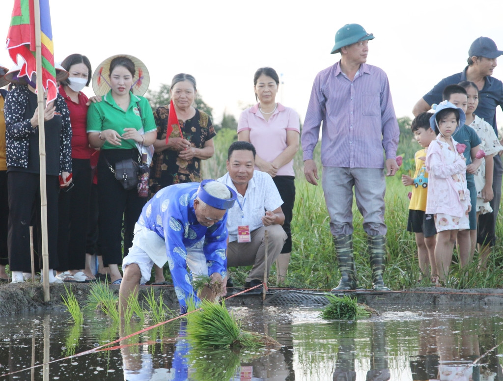 Ông chủ tế xuống ruộng trước cửa đình Cốc cấy những cây lúa đầu tiên. Ảnh: Báo Dân tộc