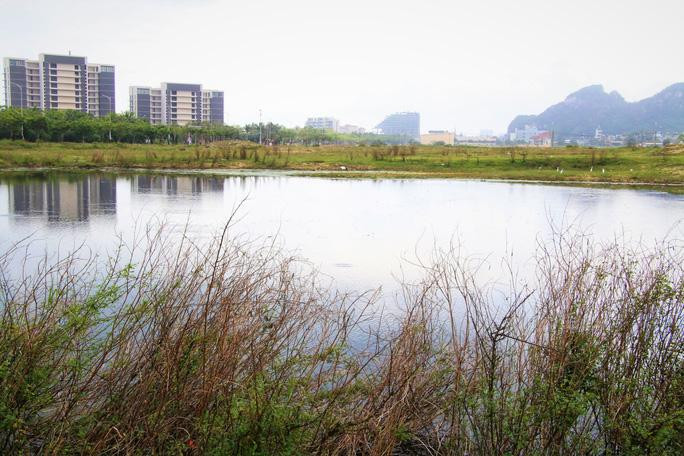 Do tranh chấp kéo dài, 2 khu đất đang bỏ trống, không có công trình xây dựng