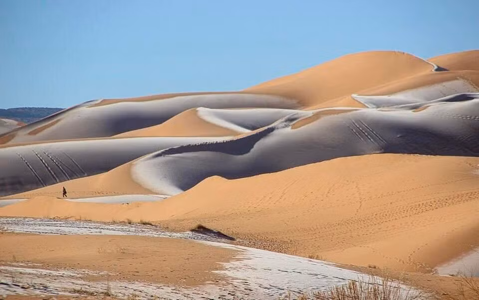 Dù hiện nay sa mạc Sahara rất khô cằn với nhiệt độ lên tới 58 độ C, giới nghiên cứu dự đoán sa mạc có thể xanh tươi trở lại sau 15.000 năm. Ảnh: Karim Bouchetata Dù hiện nay sa mạc Sahara rất khô cằn với nhiệt độ lên tới 58 độ C, giới nghiên cứu dự đoán sa mạc có thể xanh tươi trở lại sau 15.000 năm. Ảnh: Karim Bouchetata