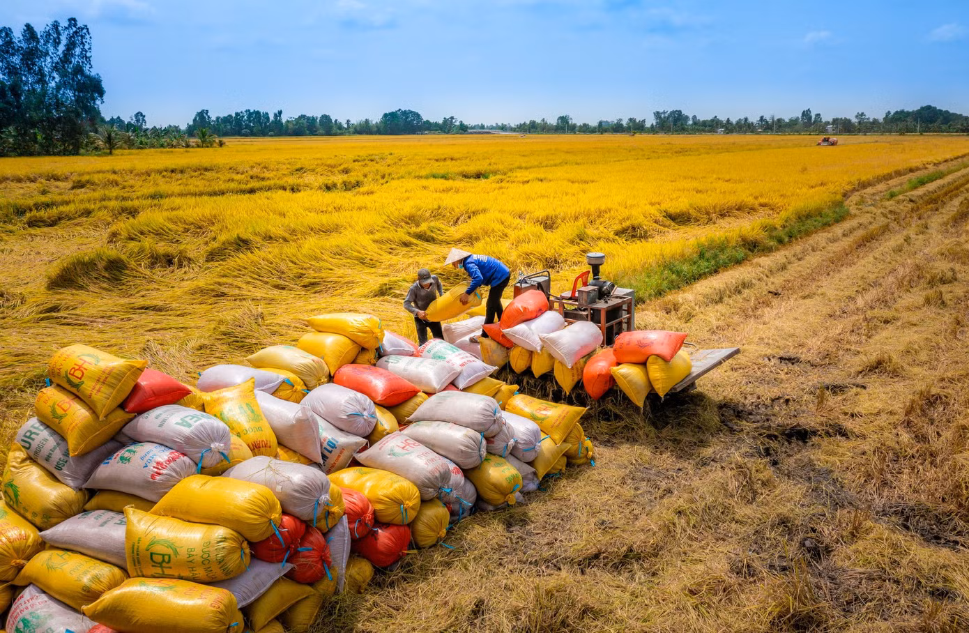 Thủ tướng đặt mục tiêu cho ngành nông nghiệp xuất khẩu đạt 100 tỷ USD trong những năm tới. Ảnh: Lam Anh.