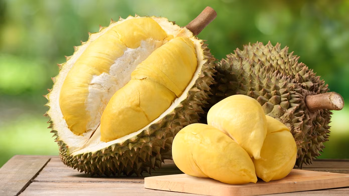 Xuất khẩu sầu riêng tăng mạnh vượt Thái Lan. Ảnh minh họa. Xuất khẩu sầu riêng tăng mạnh vượt Thái Lan. Ảnh minh họa.