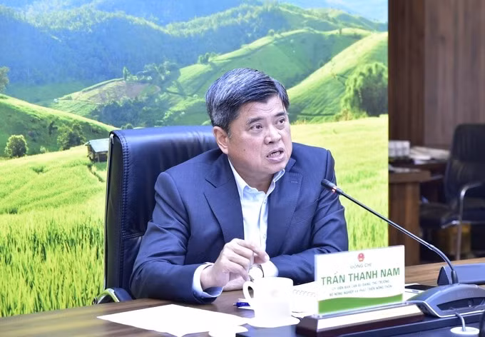 Thứ trưởng Trần Thanh Nam phát biểu tại cuộc họp. Ảnh: Kiều Chi.