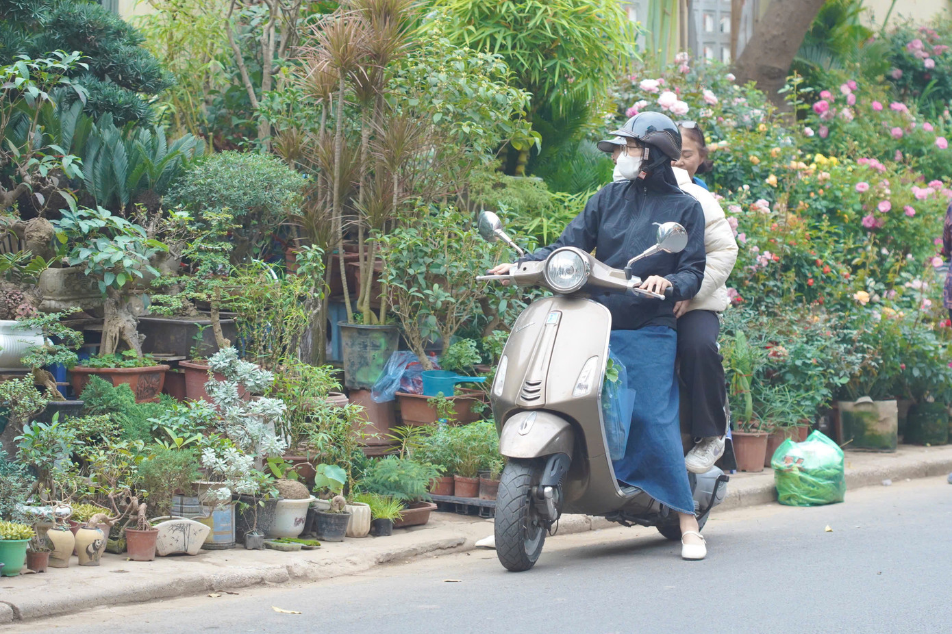 Lớp "áo mới" rực rỡ sắc màu của hàng ngàn loài hoa đang khoe sắc tại phố cây cảnh Hoàng Hoa Thám khiến cho không gian ngập tràn không khí Tết. Những người đi qua đây dường như đi chậm hơn để nhìn ngắm muôn vàn loài hoa và hít hà không khí mùa xuân đang tràn về.