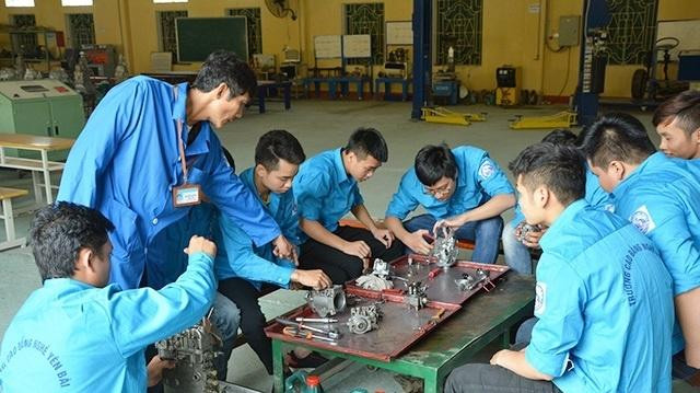 Thái Bình đẩy mạnh phát triển các HTX gắn với đào tạo nghề nông thôn.