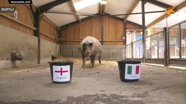 Người Anh chưa thể mang bóng đá về nhà ảnh 36