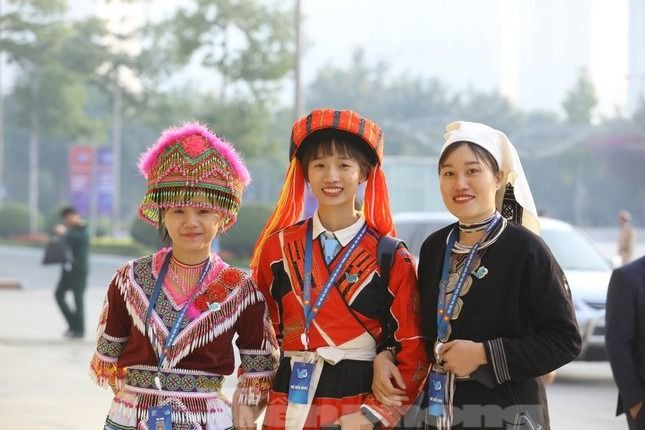 Ảnh minh họa: Như Ý Ảnh minh họa: Như Ý