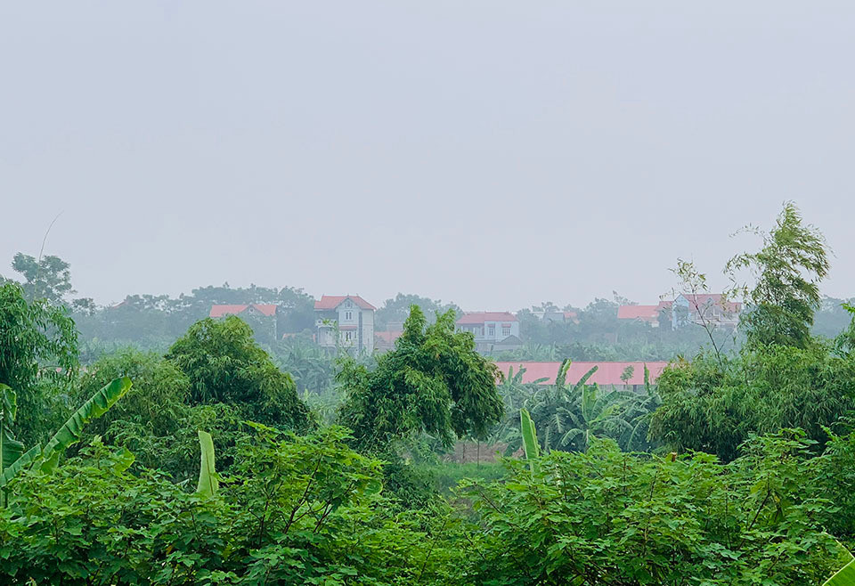 Làng 'vàng trắng' tỷ phú ven sông Hồng, 1 năm chia nhau 400 tỷ ảnh 4