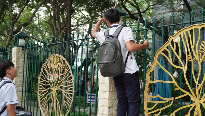 Leo rào, móc đất để tìm "xu"