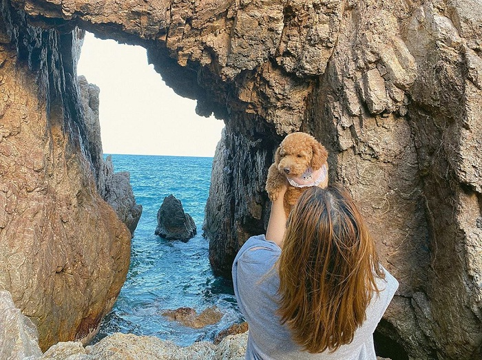 Nhiều du khách đến đây, đặc biệt là các bạn trẻ rất thích thú với background chụp hình độc lạ, đẹp mắt này. Du khách tha hồ tạo dáng, chụp hình, săn ảnh đẹp “triệu like”. Ảnh: luhanhvietnam.