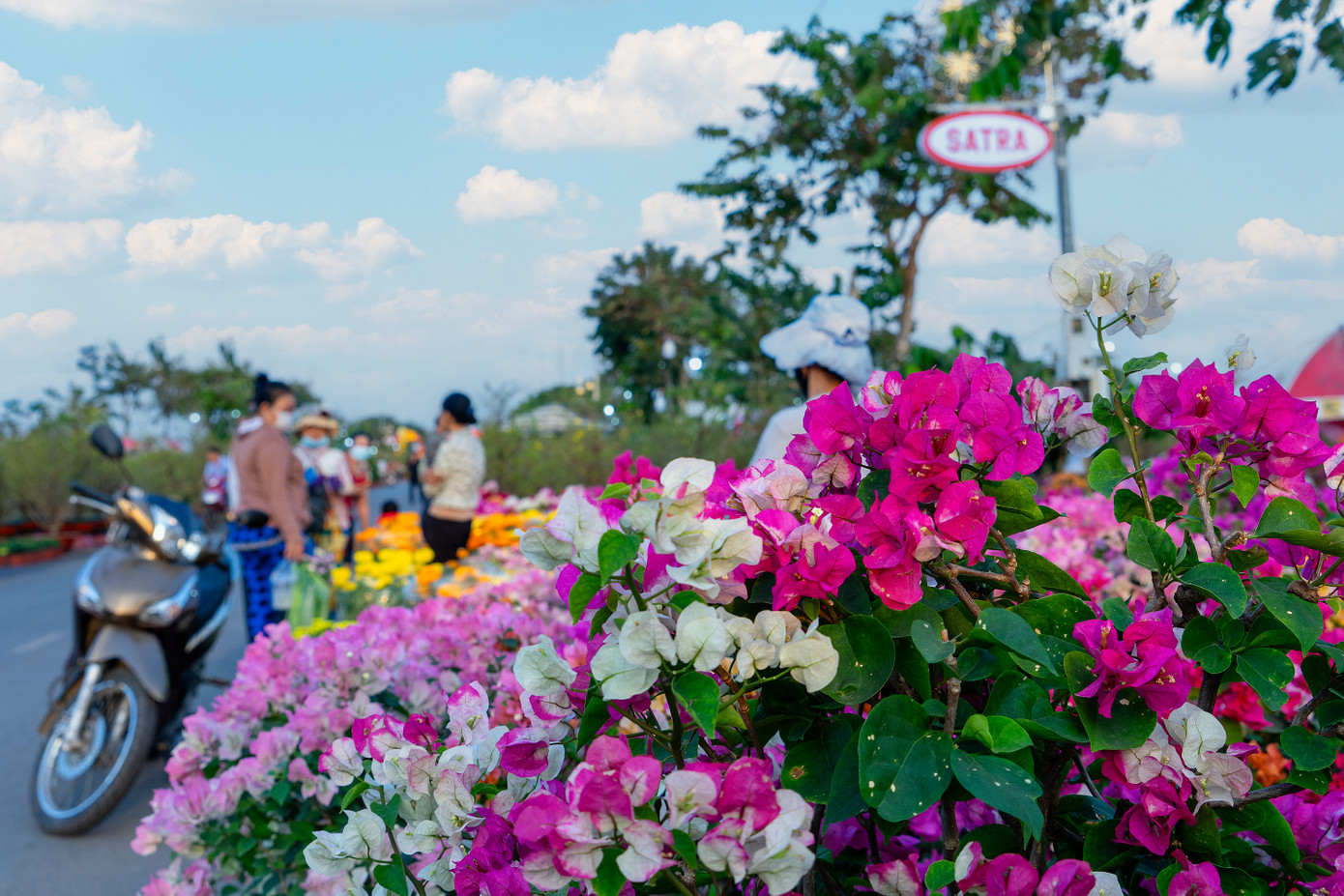 Hoa là phần không thể thiếu trong không khí tết của người Việt. Ảnh: SATRA Hoa là phần không thể thiếu trong không khí tết của người Việt. Ảnh: SATRA