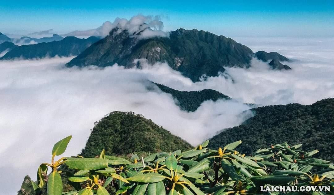 Biển mây trên đỉnh Tả Liên Sơn. (Ảnh: Thu Hoài)