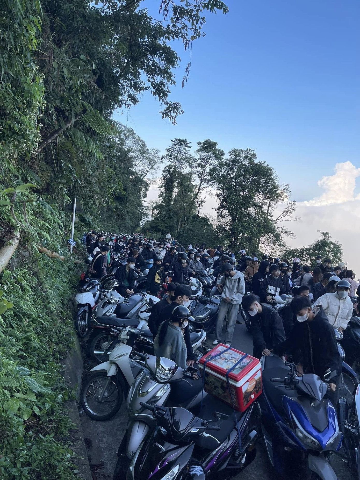 Du khách đổ về Ba Vì săn biển mây, ngắm hoa dã quỳ bung nở. Ảnh: Minh Loan.