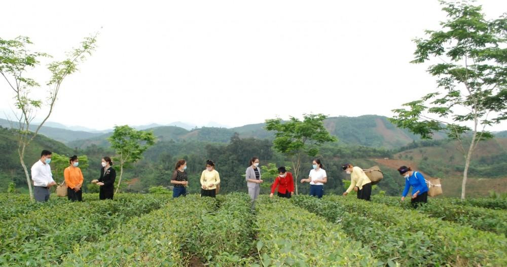 Giai đoạn 2021-2025, tỉnh Lào Cai đặt mục tiêu phấn đấu giảm tỷ lệ hộ nghèo bình quân từ 3-5%/năm trở lên theo chuẩn nghèo tiếp cận đa chiều