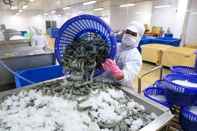 Chương trình tín dụng đặc biệt trị giá 100.000 tỷ đồng cho lĩnh vực nông, lâm, thủy sản, kỳ vọng tiếp sức cho hàng triệu hộ sản xuất, doanh nghiệp. Ảnh: VASEP.