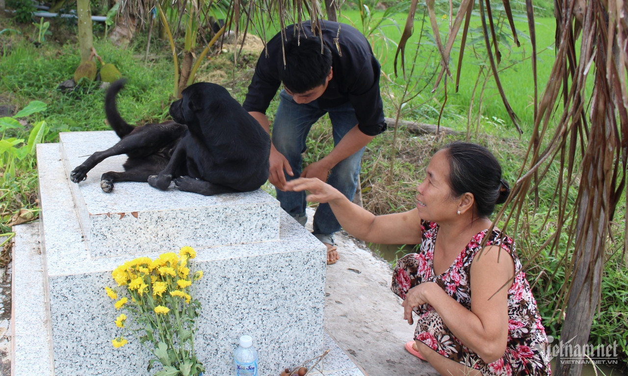 Trước đó, Mino nhiều ngày đêm nằm trên mộ phần bất chấp nắng mưa. Ảnh: Hà Nguyễn Trước đó, Mino nhiều ngày đêm nằm trên mộ phần bất chấp nắng mưa. Ảnh: Hà Nguyễn