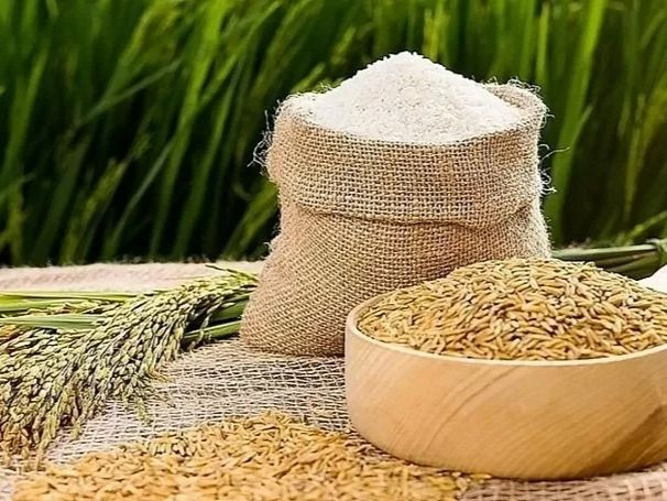 Xuất khẩu gạo của Việt Nam năm nay đã đạt đến mốc kỷ lục trong lịch sử. Ảnh minh họa: IT