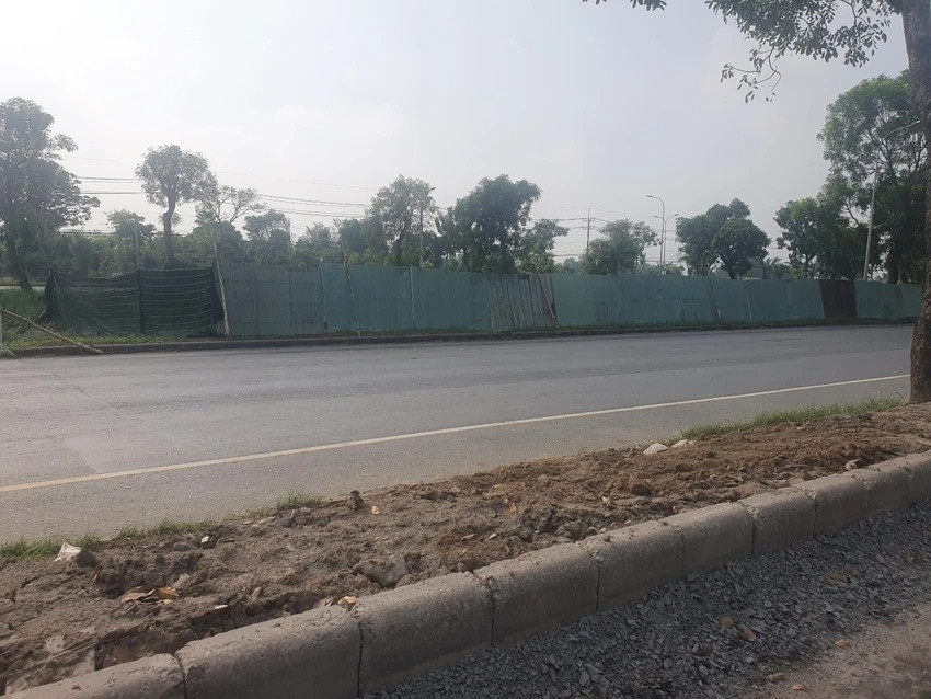 Phần giữa dải phân cách của đường Nguyễn Văn Linh cũng được quây tôn để trồng sen ở giữa tạo cảnh quan cho con đường huyết mạch này. Đường Nguyễn Văn Linh được khởi công vào năm 1996 và đưa vào khai thác toàn bộ năm 2007, với tổng vốn đầu tư 100 triệu USD (hơn 2.300 tỉ đồng), dài gần 18 km từ quốc lộ 1 (huyện Bình Chánh) đến giao lộ Huỳnh Tấn Phát (quận 7).