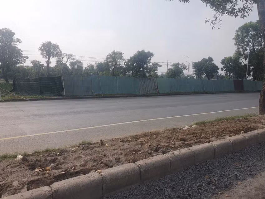 Phần giữa dải phân cách của đường Nguyễn Văn Linh cũng được quây tôn để trồng sen ở giữa tạo cảnh quan cho con đường huyết mạch này. Đường Nguyễn Văn Linh được khởi công vào năm 1996 và đưa vào khai thác toàn bộ năm 2007, với tổng vốn đầu tư 100 triệu USD (hơn 2.300 tỉ đồng), dài gần 18 km từ quốc lộ 1 (huyện Bình Chánh) đến giao lộ Huỳnh Tấn Phát (quận 7).