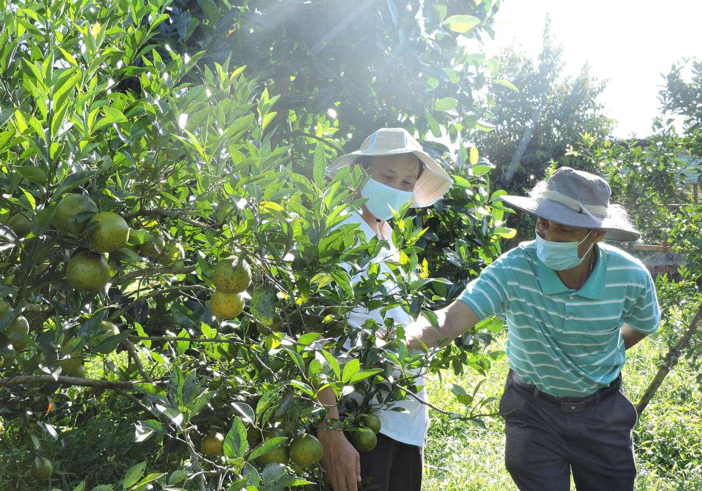 Nâng cao thu nhập cho người dân nông thôn là nhiệm vụ khó nhưng vô cùng quan trọng trong xây dựng nông thôn mới