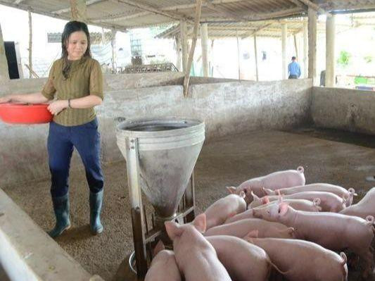 Tuyên Quang xác định để giảm nghèo hiệu quả thì người dân cần có nguồn sinh kế ổn định. Ảnh: Đào Thanh.