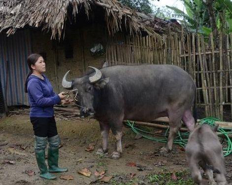 Tỉnh Tuyên Quang phấn đấu giai đoạn 2021 - 2025 tỷ lệ hộ nghèo giảm bình quân từ 2 - 2,5%/năm. Ảnh: Đào Thanh.