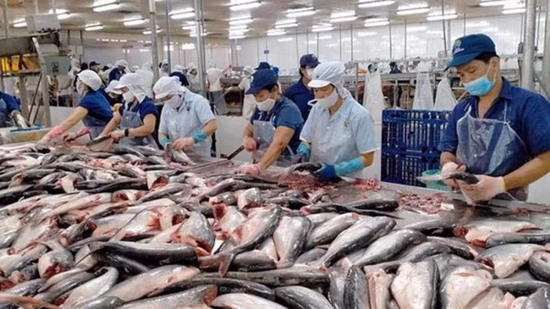 Xuất khẩu thủy sản chịu tác động khi Mỹ tăng thuế. Ảnh minh họa: IT.