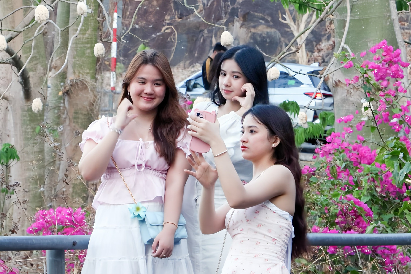 Du khách thích thú chụp cảnh bông gòn bung nở trắng tinh và rơi xuống bám vào trên những tán cây. Ảnh: Quang Hưng