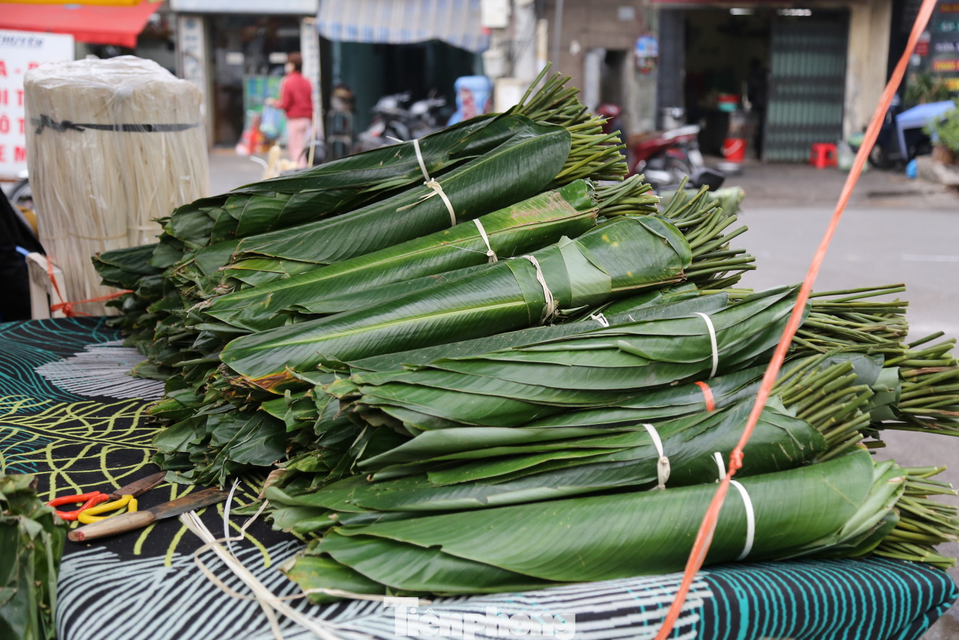 Chợ Trần Quý Cáp cung cấp các loại lá dong đủ các kích thước từ nhỏ đến lớn nhằm đáp ứng nhu cầu khác nhau của khách hàng. Lá dong rừng có nguồn gốc từ các tỉnh Lào Cai, Tuyên Quang, lá dong quê được nhập từ Thanh Oai (Hà Nội), Phủ Lý (Hà Nam)...