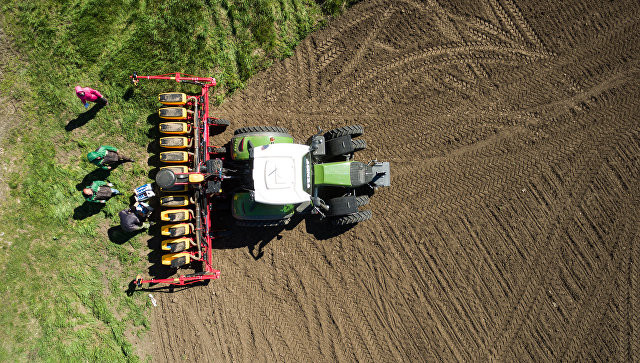 Ông Putin: Phẩm chất tốt nhất của tuyển thủ Nga thể hiện ở World Cup ảnh 14