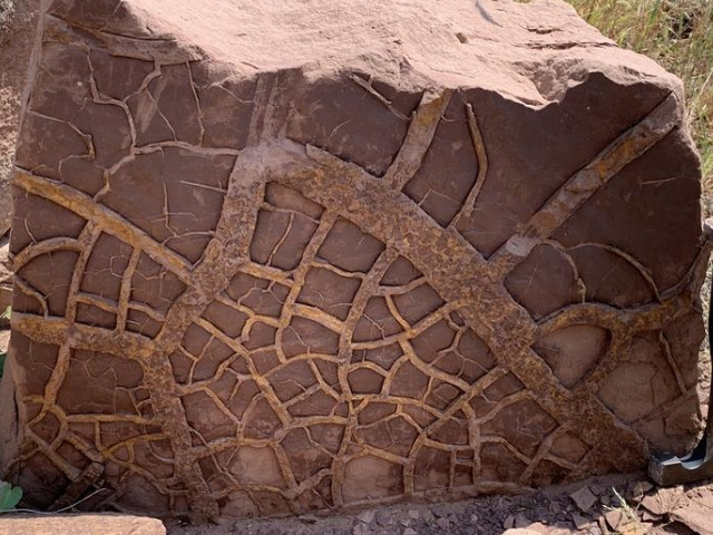 Một lát cắt địa tầng cổ đại cho thấy bề mặt khô cằn vào thời điểm chuyển đổi từ kỷ Nhị Điệp sang kỷ Tam Điệp, cho thấy một siêu El Nino từng tồn tại - Ảnh: ĐẠI HỌC LEEDS