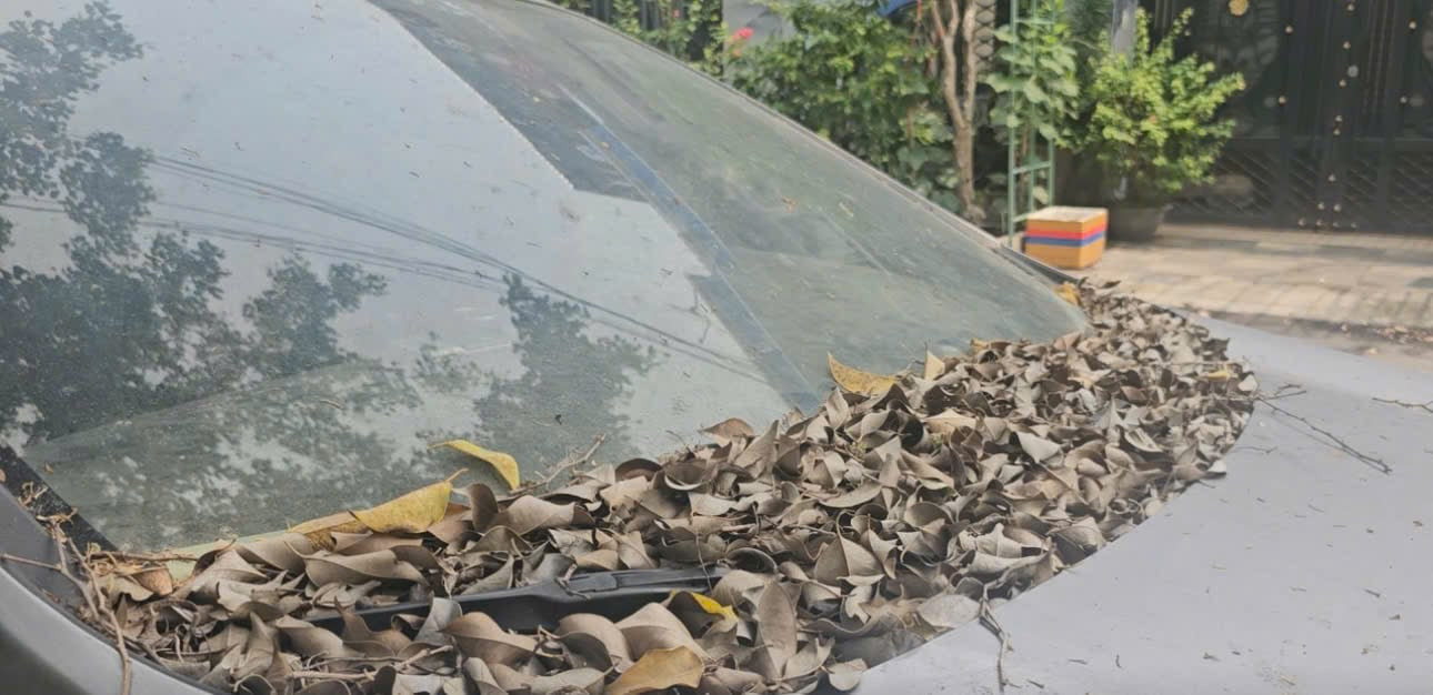 Xe 7 chỗ “chết lâm sàng” cả năm trước nhà dân ở quận Tân Phú. Ảnh: Chinh Hoàng