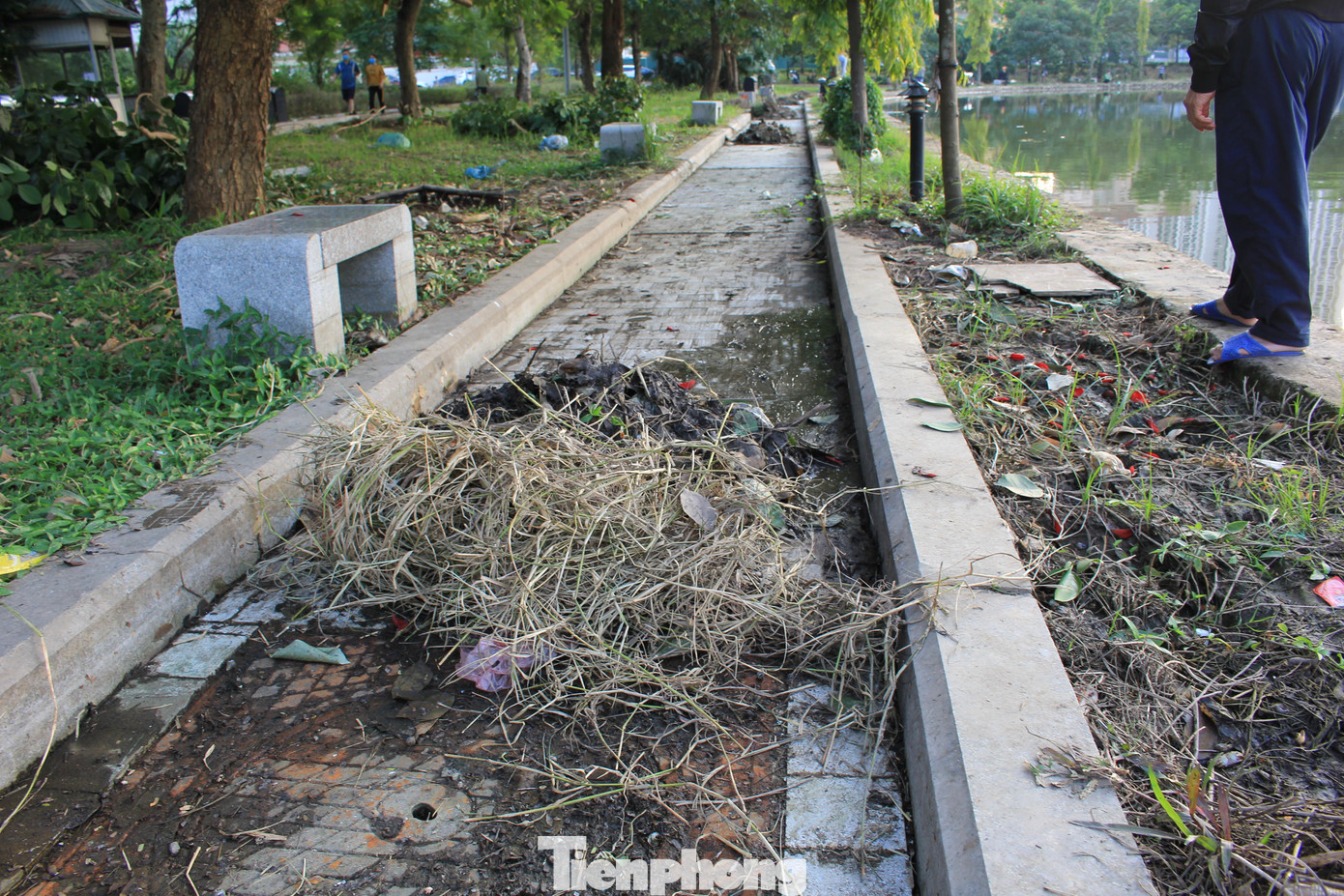 Cây, cỏ dại đã được công nhân cắt, tỉa cho gọn gàng. Cây, cỏ dại đã được công nhân cắt, tỉa cho gọn gàng.