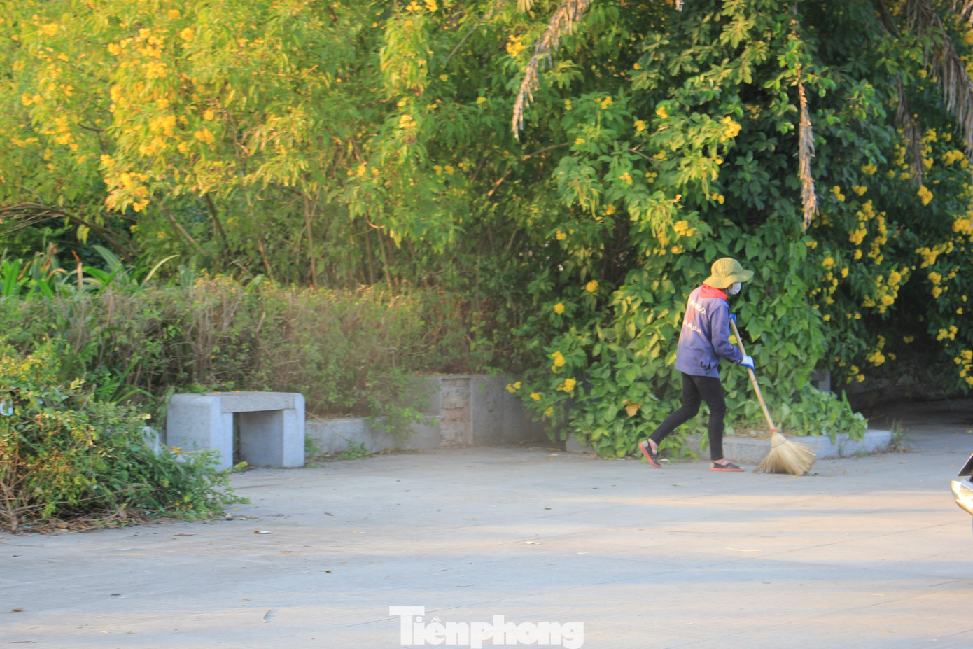 Đường đi lối lại được nhân viên vệ sinh quét dọn cho sạch sẽ hơn. Đường đi lối lại được nhân viên vệ sinh quét dọn cho sạch sẽ hơn.