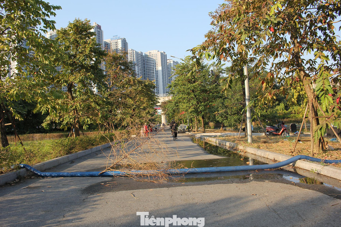 Theo đó, vài ngày gần đây, hồ nước trong Công viên hồ điều hòa Mai Dịch đã được bơm bớt nước để tránh gây ngập úng các lối đi dạo ven hồ. Theo đó, vài ngày gần đây, hồ nước trong Công viên hồ điều hòa Mai Dịch đã được bơm bớt nước để tránh gây ngập úng các lối đi dạo ven hồ.