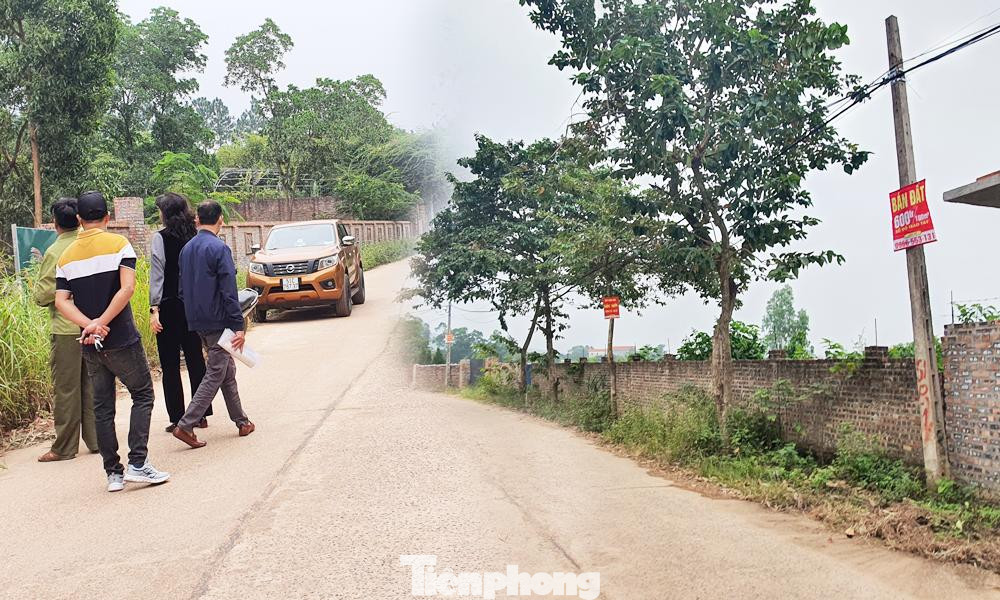 Sau khi có thông tin quy hoạch vùng huyện Sóc Sơn thành thành phố, đất lâm nghiệp, đất vườn ở các xã Hiền Ninh, Minh Trí, Minh Phú liên tục được rao bán với giá tăng từ 1,5 - 2 lần. Cò đất ngày đêm đi dán tờ rơi bán đất trên khắp các con đường