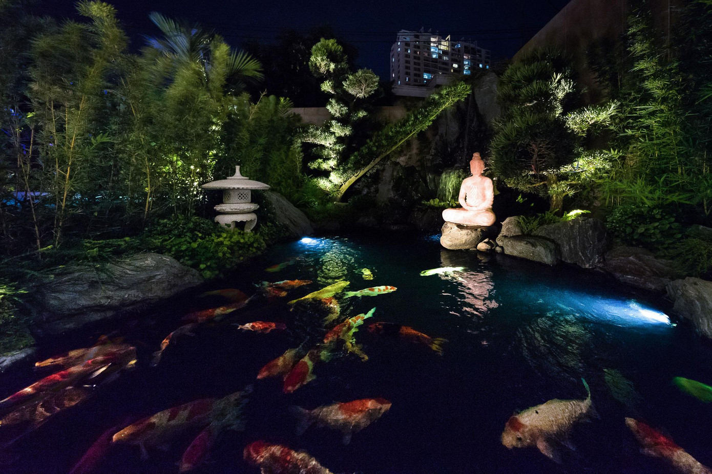 Tận dụng sự rộng rãi của khu đất, KTS bố trí hai hồ bơi và hồ cá Koi trước nhà, giữa hai không gian này được phân tách bằng một mảng xanh tự nhiên.