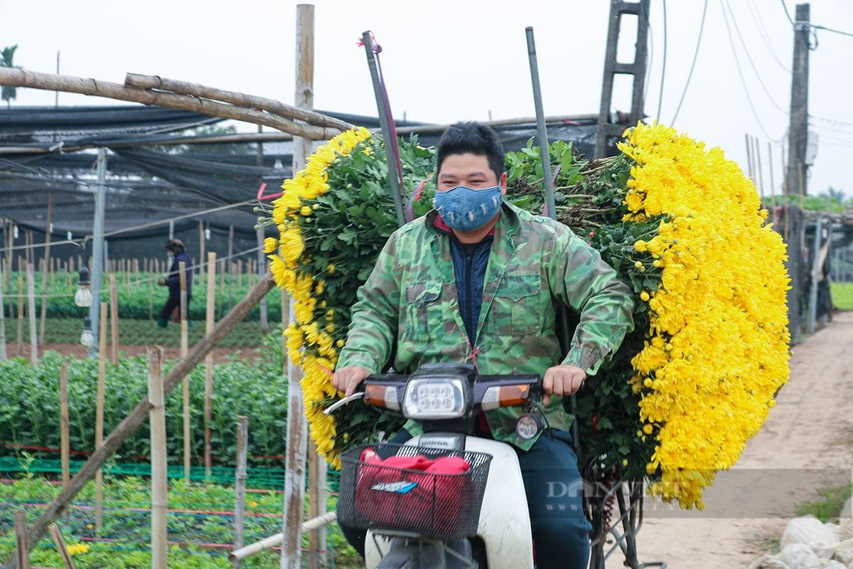 Những ngày này, người dân làng hoa Tây Tựu lại tất bật chuẩn bị cho một mùa hoa Tết. Ảnh: Doãn Nhàn Những ngày này, người dân làng hoa Tây Tựu lại tất bật chuẩn bị cho một mùa hoa Tết. Ảnh: Doãn Nhàn