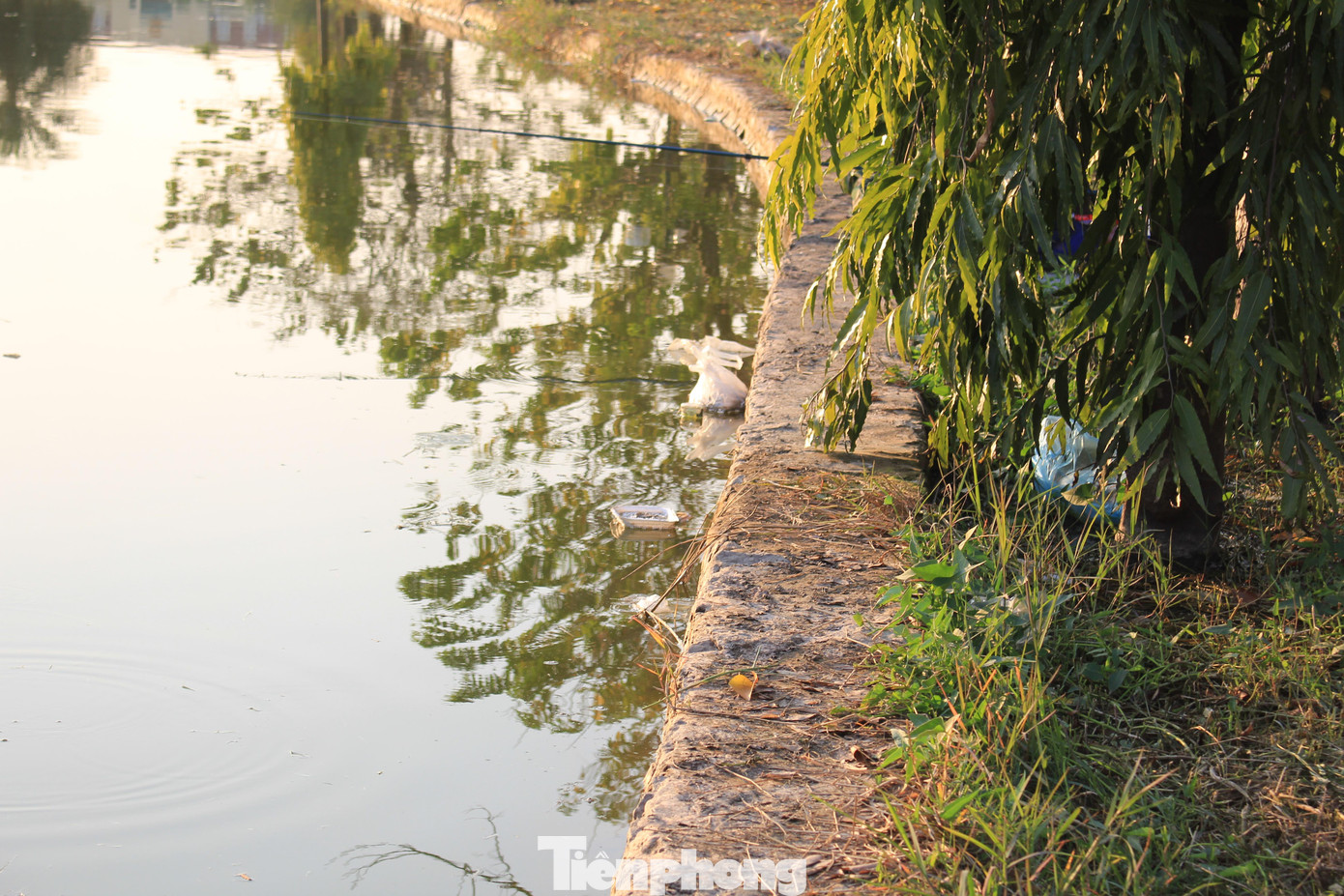 Nước hồ đầy rẫy rác thải. Ven hồ tập trung la liệt vỏ ốc chết, chai lọ vỡ và rác thải,...