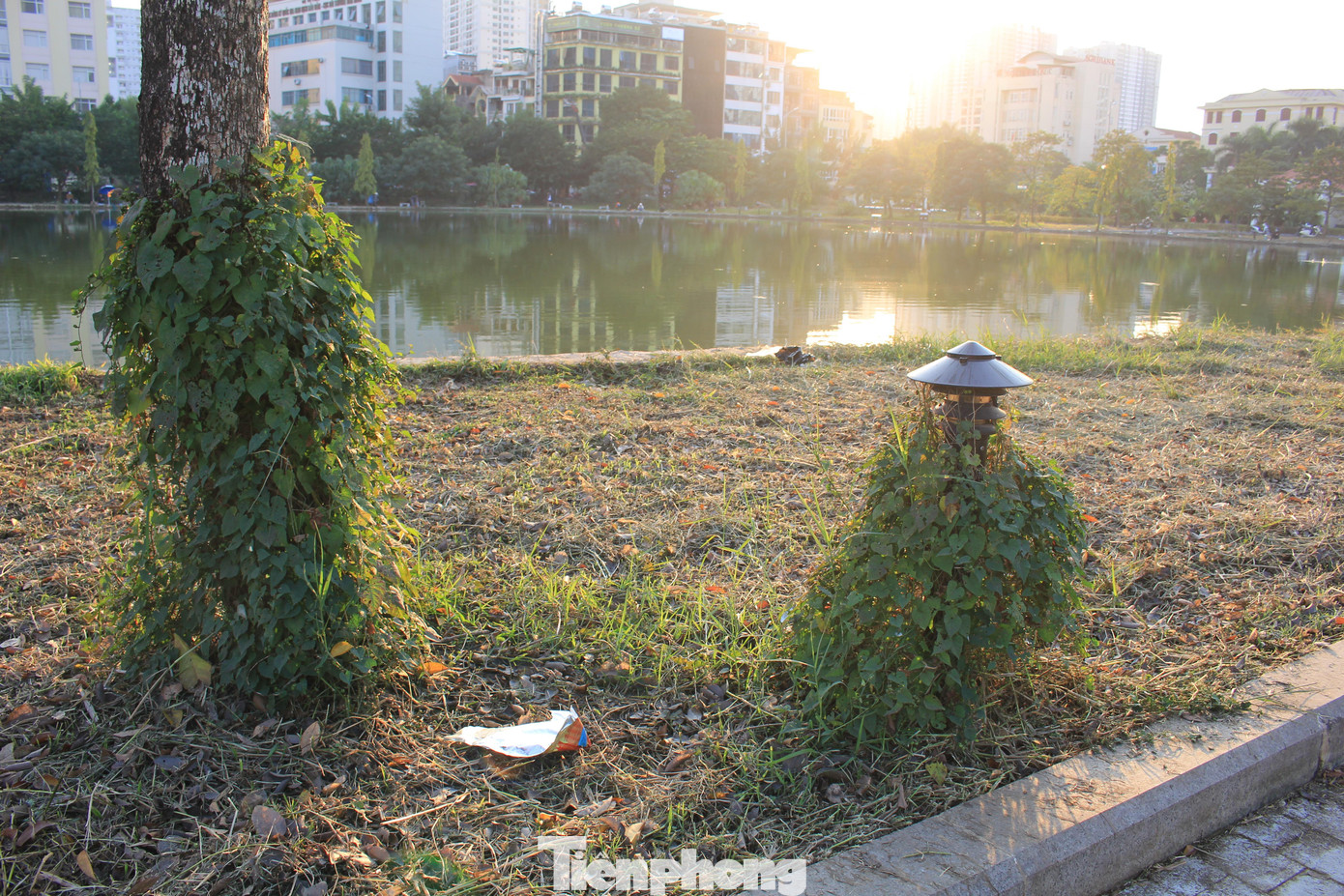 Liên quan đến dự án công viên hồ điều hòa Mai Dịch, Sở Xây dựng Hà Nội đã có văn bản đôn đốc các đơn vị liên quan thực hiện duy trì hệ thống cây xanh, vệ sinh môi trường khu vực công viên này.