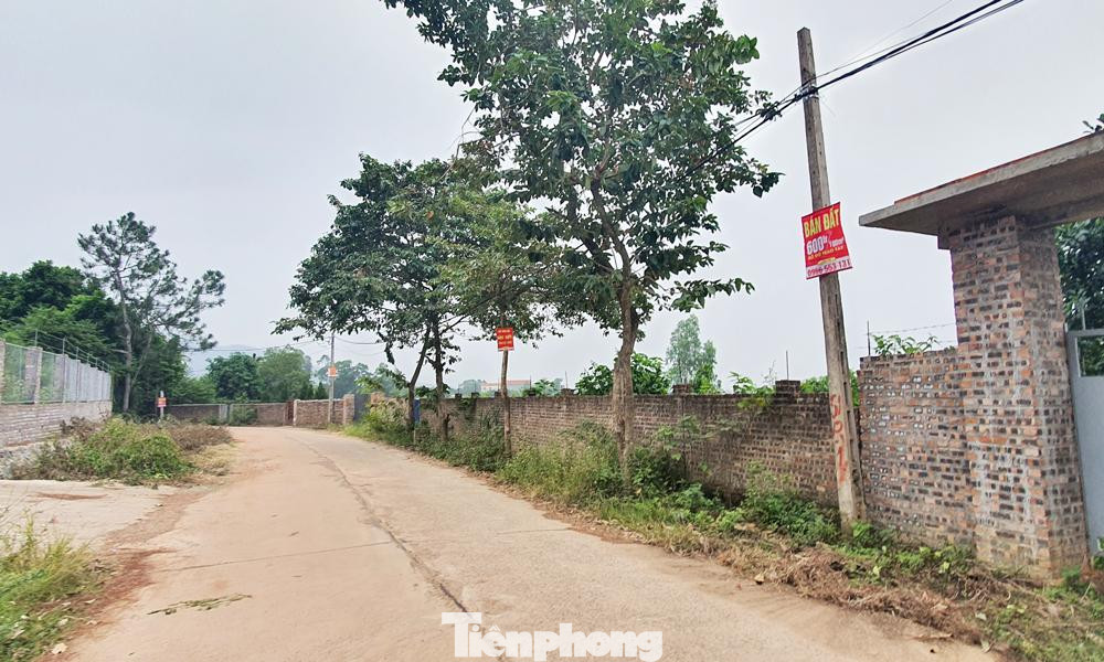 Sau khi có thông tin quy hoạch vùng huyện Sóc Sơn thành thành phố, đất lâm nghiệp, đất vườn ở các xã Hiền Ninh, Minh Trí, Minh Phú liên tục được rao bán với giá tăng từ 1,5 - 2 lần. Cò đất ngày đêm đi dán tờ rơi bán đất trên khắp các con đường Sau khi có thông tin quy hoạch vùng huyện Sóc Sơn thành thành phố, đất lâm nghiệp, đất vườn ở các xã Hiền Ninh, Minh Trí, Minh Phú liên tục được rao bán với giá tăng từ 1,5 - 2 lần. Cò đất ngày đêm đi dán tờ rơi bán đất trên khắp các con đường