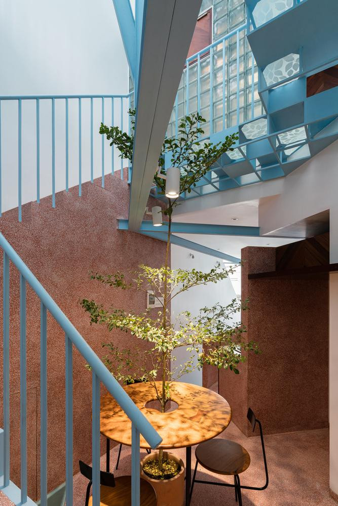 Giữa nhà trồng một cây xanh lớn để tạo sự mát mẻ và gần gũi với thiên nhiên.