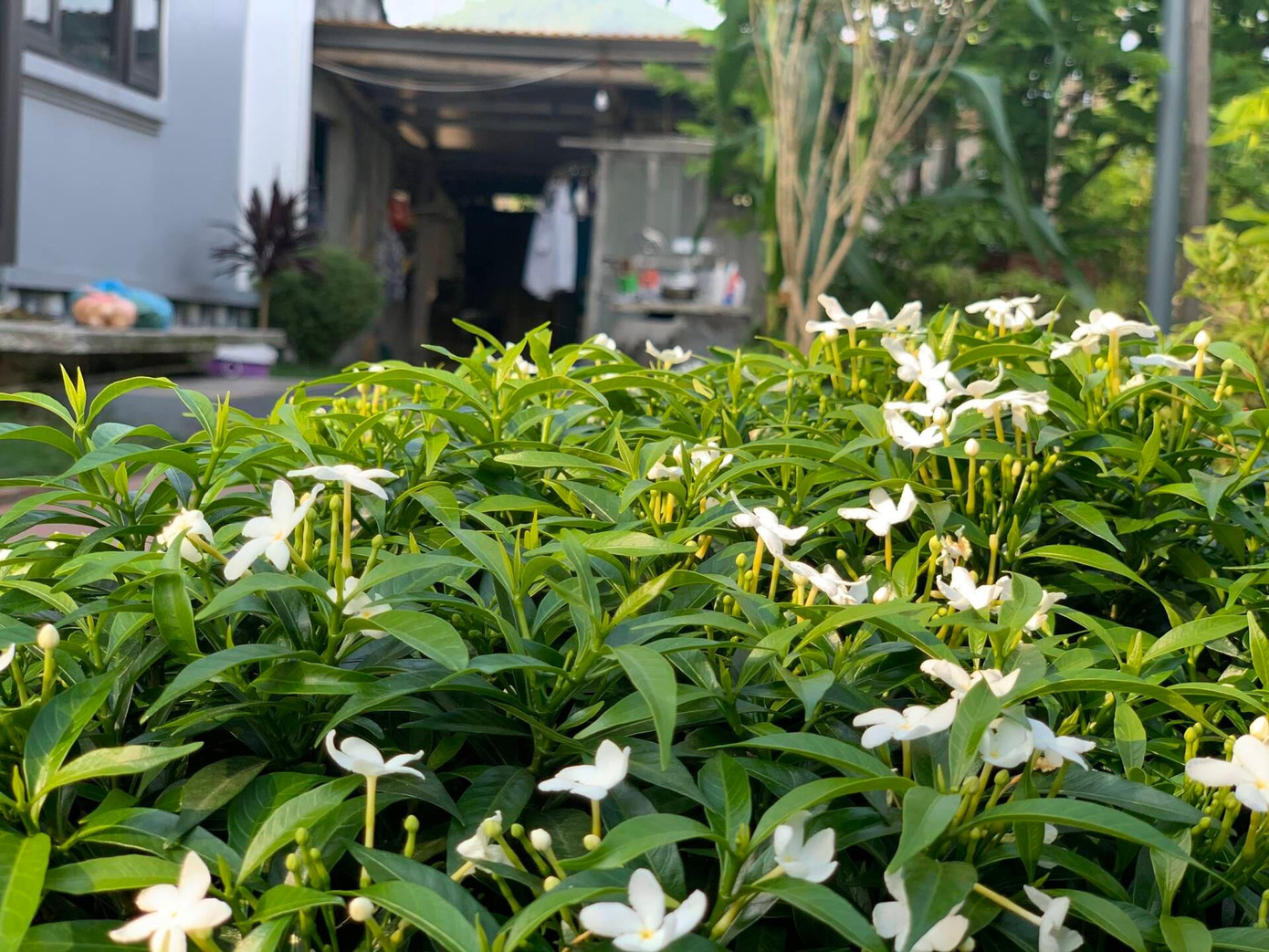 Theo tiết lộ của người con, tổng chi phí xây dựng và đồ nội thất của ngôi nhà vào khoảng hơn 2 tỷ đồng.