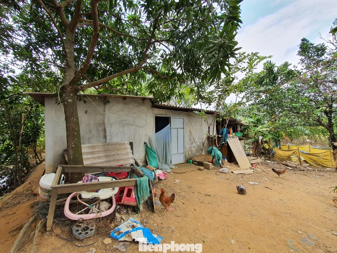 Sức nóng từ cơn “sốt” đất tại TP. Đông Hà còn kéo theo việc thị trường đất vườn, đất thổ cư ở các huyện giáp TP như Gio Linh, Triệu Phong, Cam Lộ cũng sôi động theo. Trong đó mặt bằng giá đất ở các huyện này đều tăng từ 5 – 7 triệu đồng/m2, tùy vị trí.