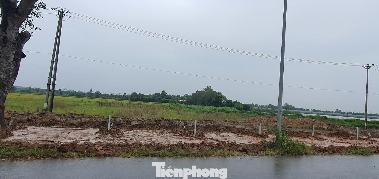 Đất nông nghiệp khu vực xã Hải Bối (Đông Anh) liên tục được nhiều môi giới rao bán nhằm ăn theo thông tin chuẩn bị phê duyệt phân khu đô thị sông Hồng. Tuy nhiên các chuyên gia BĐS cảnh báo việc mua đất "ăn theo" thông tin quy hoạch "hơi", nghe theo thông tin mập mờ của "cò", mồi, môi giới BĐS về phân khu đô thị sông Hồng là rất rủi ro và dễ mất tiền oan.