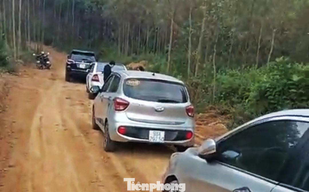 Các chuyên gia cho rằng, việc "siết" chặt quy định về phân lô, tách thửa sẽ làm thị trường đất nền bị khựng lại và đây là việc cần thiết. Các chuyên gia cho rằng, việc "siết" chặt quy định về phân lô, tách thửa sẽ làm thị trường đất nền bị khựng lại và đây là việc cần thiết.