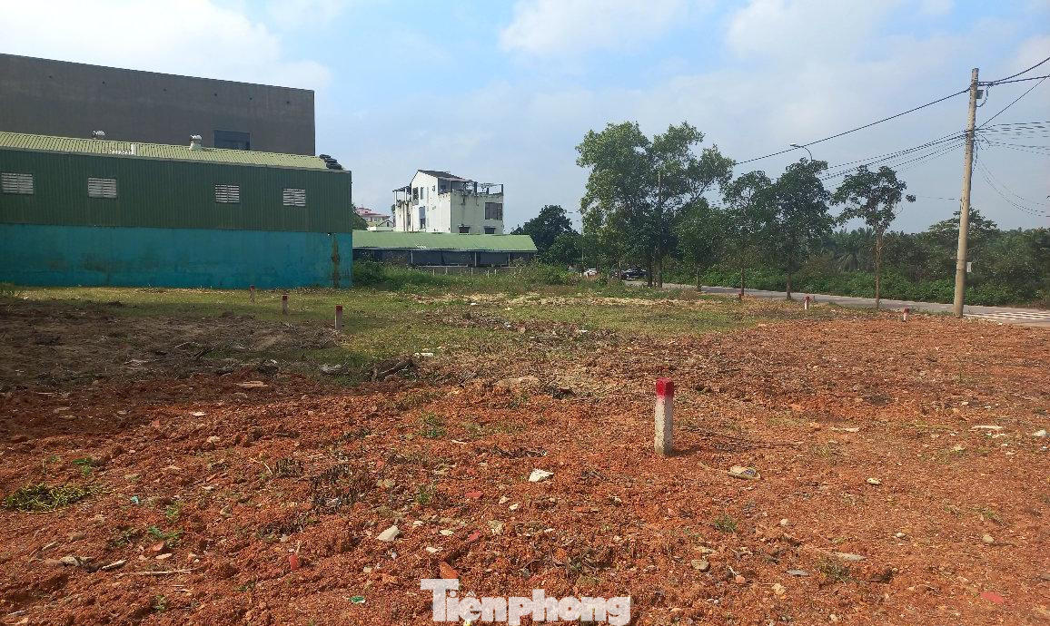 Các lô đất từng tấp nập môi giới và nhà đầu tư đến xem ở TP. Đông Hà (Quảng Trị) nay đìu hiu, ít người qua lại. Các lô đất từng tấp nập môi giới và nhà đầu tư đến xem ở TP. Đông Hà (Quảng Trị) nay đìu hiu, ít người qua lại.