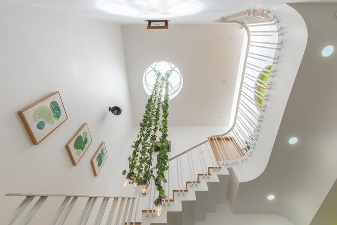 Đặc biệt, để thỏa mãn đam mê màu xanh lá của gia chủ, kiến trúc sư còn bố trí dây leo và đèn thả từ giếng trời.