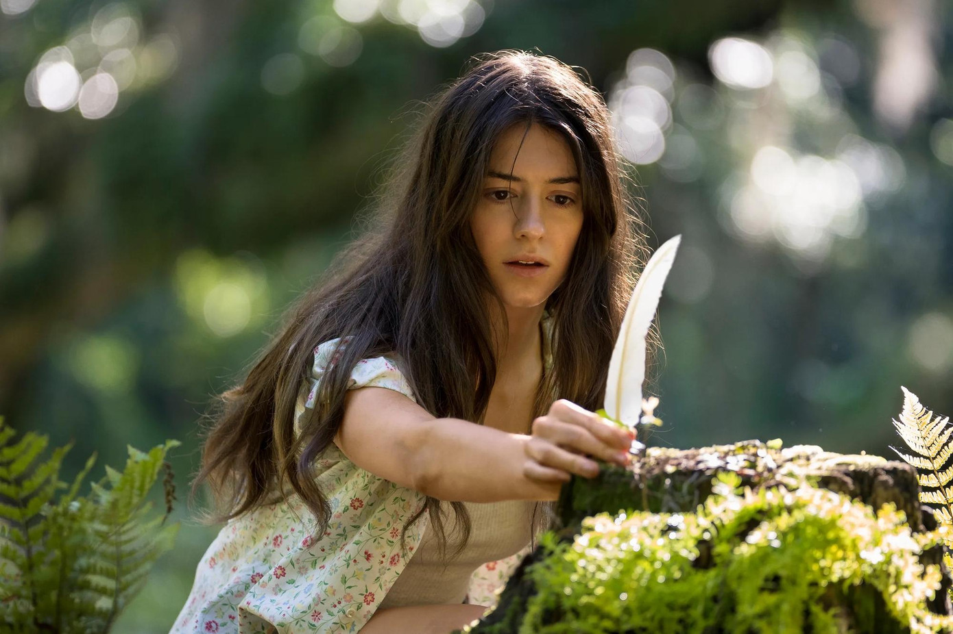 Xa ngoài kia, nơi loài tôm hát được khán giả chấm đến 96% trên Rotten Tomatoes. Xa ngoài kia, nơi loài tôm hát được khán giả chấm đến 96% trên Rotten Tomatoes.