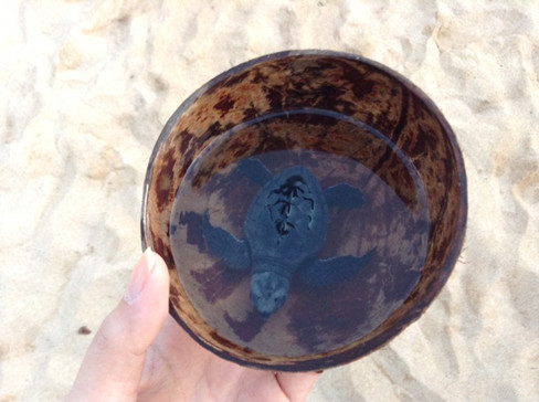 Cô cùng các thí sinh tham gia hoạt động thả rùa về biển